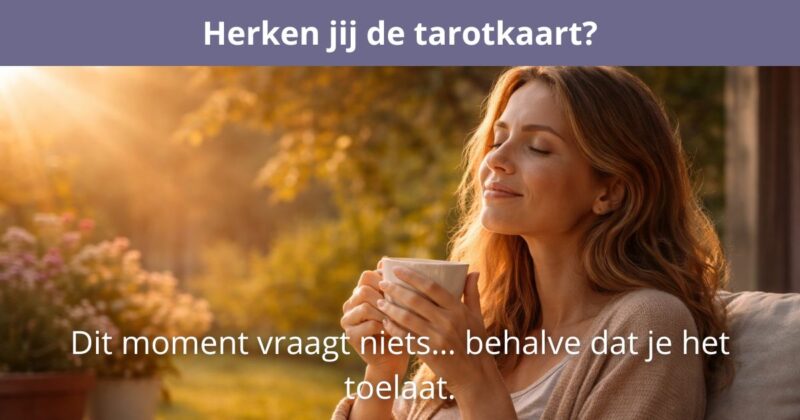 20260412 Raad de kaart - Bekers Aas 5 1200x630
