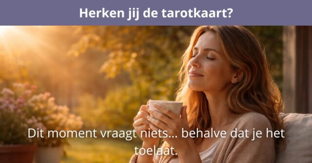 20260412 Raad de kaart - Bekers Aas 5 1200x630